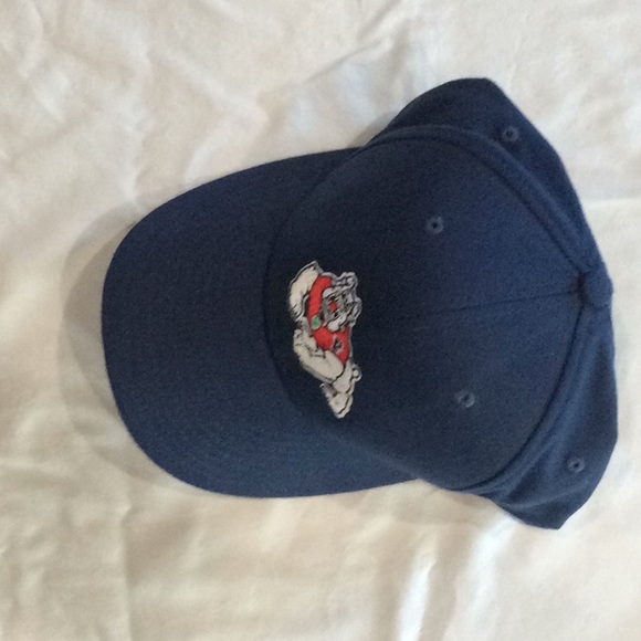 nike true dri fit hat